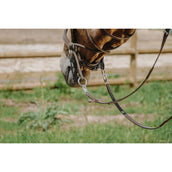 Norton Bitloos Hoofdstel Havana Norton Bitloos Hoofdstel Havana