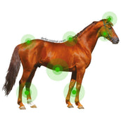 Animaderm Derfen Original Cream Animaderm Derfen Original Cream