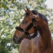 Norton Halster Volledig Synthetisch Schapenvacht Zwart Norton Halster Volledig Synthetisch Schapenvacht Zwart
