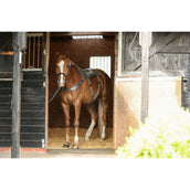 Equilibrium Massage Pad Grijs Equilibrium Massage Pad Grijs