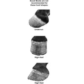 Scoot Boots Hoefschoen Regular Single Zwart Scoot Boots Hoefschoen Regular Single Zwart