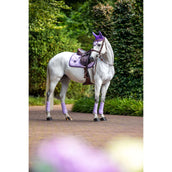 Equestrian Stockholm Beenbeschermers Classic Mesh Lavender Equestrian Stockholm Beenbeschermers Classic Mesh Lavender