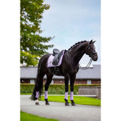 Equestrian Stockholm Beenbeschermers Classic Mesh Lavender Equestrian Stockholm Beenbeschermers Classic Mesh Lavender