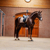Equestrian Stockholm Zadeldekje Line Dressuur Champagne Equestrian Stockholm Zadeldekje Line Dressuur Champagne