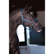Equestrian Stockholm Halster Glimmer Leather Anatomic Teal Blue Equestrian Stockholm Halster Glimmer Leather Anatomic Teal Blue