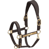 Eskadron Halster Heritage Faux Leather Double Pin Black Truffle Eskadron Halster Heritage Faux Leather Double Pin Black Truffle