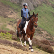Aubrion by Shires Bodywarmer Original Fleece Blauw Aubrion by Shires Bodywarmer Original Fleece Blauw