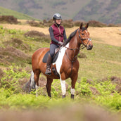 Aubrion by Shires Bodywarmer Original Fleece Maroon Aubrion by Shires Bodywarmer Original Fleece Maroon