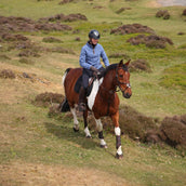Aubrion by Shires Trui Original Fleece Blauw Aubrion by Shires Trui Original Fleece Blauw