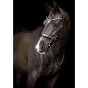 Catago Frontriem Gentle Bruin Catago Frontriem Gentle Bruin