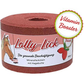 Animalixs Liksteen LollyLick Vitamin Booster Rozenbottel Animalixs Liksteen LollyLick Vitamin Booster Rozenbottel