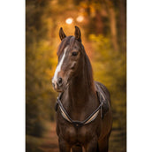 F.R.A. Balansteugel Whisper Zwart F.R.A. Balansteugel Whisper Zwart