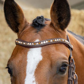 Harry's Horse Hoofdstel Bombastic Crystals Bruin Harry's Horse Hoofdstel Bombastic Crystals Bruin
