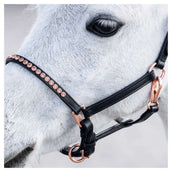 Harry's Horse Halster Crystal Pony/Veulen Zwart/Roségoud Harry's Horse Halster Crystal Pony/Veulen Zwart/Roségoud