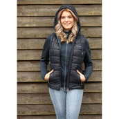 Harry's Horse Bodywarmer Just Ride Retro Navy Harry's Horse Bodywarmer Just Ride Retro Navy
