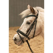 Harry's Horse Hoofdstel STOUT! Lime Zwart Harry's Horse Hoofdstel STOUT! Lime Zwart