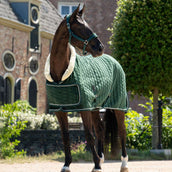 HB Ruitersport Showdeken Special Peach Forest Green HB Ruitersport Showdeken Special Peach Forest Green