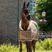 HB Ruitersport Showdeken Special Peach Taupe HB Ruitersport Showdeken Special Peach Taupe