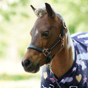 HB Harry & Hector Outdoordeken 200g Unicorn Dream HB Harry & Hector Outdoordeken 200g Unicorn Dream