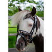 HB Hoofdstel Showtime Leopard Zwart HB Hoofdstel Showtime Leopard Zwart