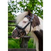 HB Hoofdstel Showtime Petit Royal Zwart HB Hoofdstel Showtime Petit Royal Zwart