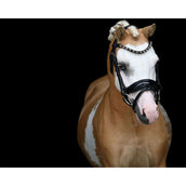 HB Showtime Hoofdstel Special Zwart/Goud HB Showtime Hoofdstel Special Zwart/Goud