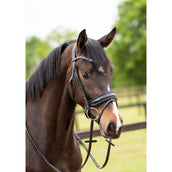 HB Showtime Hoofdstel Las Vegas Zwart/Navy Glitter HB Showtime Hoofdstel Las Vegas Zwart/Navy Glitter