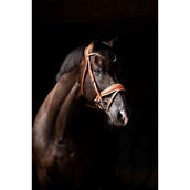 HB Showtime Hoofdstel Chesnuth Cognac/Wit HB Showtime Hoofdstel Chesnuth Cognac/Wit