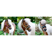 HB Halster Sunny Flower Blauw HB Halster Sunny Flower Blauw