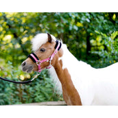 HB Halster Sunny Flower Fuchsia HB Halster Sunny Flower Fuchsia