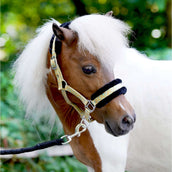 HB Halster Sunny Flower Geel HB Halster Sunny Flower Geel