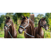 HB Halster Showtime Pioneer Ijsblauw HB Halster Showtime Pioneer Ijsblauw