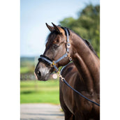 HB Halster Showtime Pioneer Zwart HB Halster Showtime Pioneer Zwart