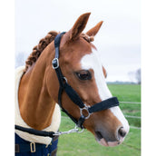 HB Halster Showtime Velvet Little Sizes Zwart/Zwart Glitter HB Halster Showtime Velvet Little Sizes Zwart/Zwart Glitter