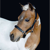HB Halster Showtime Little Sizes Leer Zwart HB Halster Showtime Little Sizes Leer Zwart