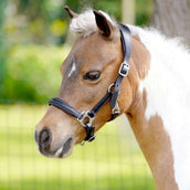 HB Halster Showtime Little Sizes Leer Zwart HB Halster Showtime Little Sizes Leer Zwart