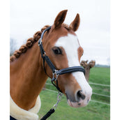 HB Halster Showtime Glitty Little Sizes Zwart/Navy Glitter HB Halster Showtime Glitty Little Sizes Zwart/Navy Glitter