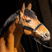 HB Halster Wisconsin Zwart/Zilver HB Halster Wisconsin Zwart/Zilver