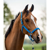 HB Showtime Halsterset Tropical Velvet Turkish Blue HB Showtime Halsterset Tropical Velvet Turkish Blue