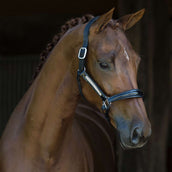 HB Showtime Halster Lorenzo Leer Zwart HB Showtime Halster Lorenzo Leer Zwart