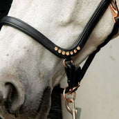 HB Showtime Halster Anatomic Zwart HB Showtime Halster Anatomic Zwart