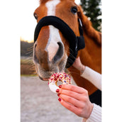 Candy Horse Love Donuts Hibiscus & Rosehip Candy Horse Love Donuts Hibiscus & Rosehip