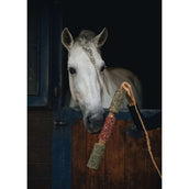 Herbie Kruidenhouten Speeltje Immunity Herbie Kruidenhouten Speeltje Immunity