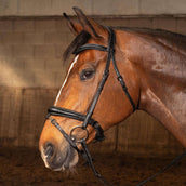 Harry's Horse Hoofdstel Soft Carbon Black Edition Zwart Harry's Horse Hoofdstel Soft Carbon Black Edition Zwart
