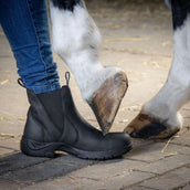 Harry's Horse Stalschoenen Leder Safety Steel Toe Zwart Harry's Horse Stalschoenen Leder Safety Steel Toe Zwart