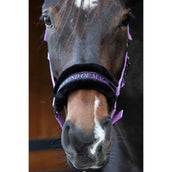 Harry's Horse Halster Lyrics Quotes Lila Harry's Horse Halster Lyrics Quotes Lila