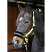 Harry's Horse Halster Lyrics Quotes Lime Harry's Horse Halster Lyrics Quotes Lime