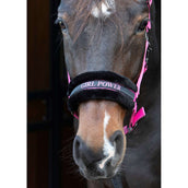 Harry's Horse Halster Lyrics Quotes Roze Harry's Horse Halster Lyrics Quotes Roze