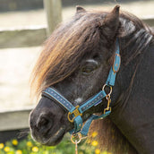 Harry's Horse Halsterset Crystal Tapestry Harry's Horse Halsterset Crystal Tapestry