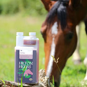 Hilton Herbs Detox Gold Hilton Herbs Detox Gold